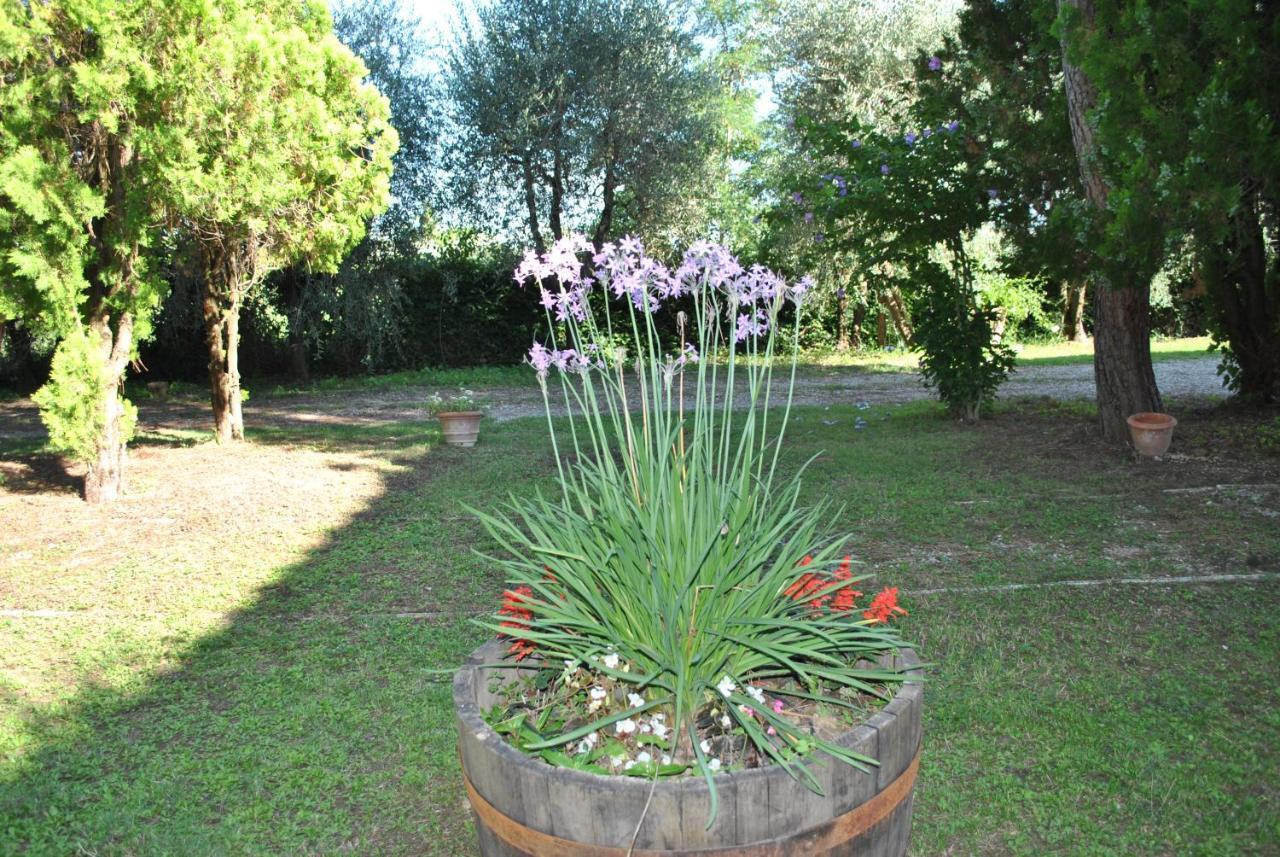 Agriturismo La Nicchia Castelnuovo Berardenga Luaran gambar