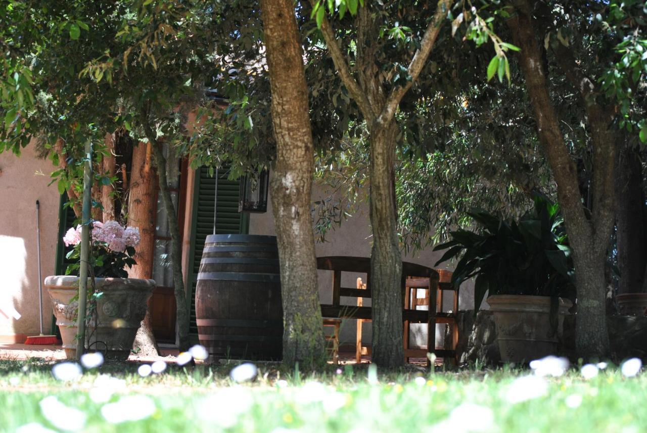 Agriturismo La Nicchia Castelnuovo Berardenga Luaran gambar